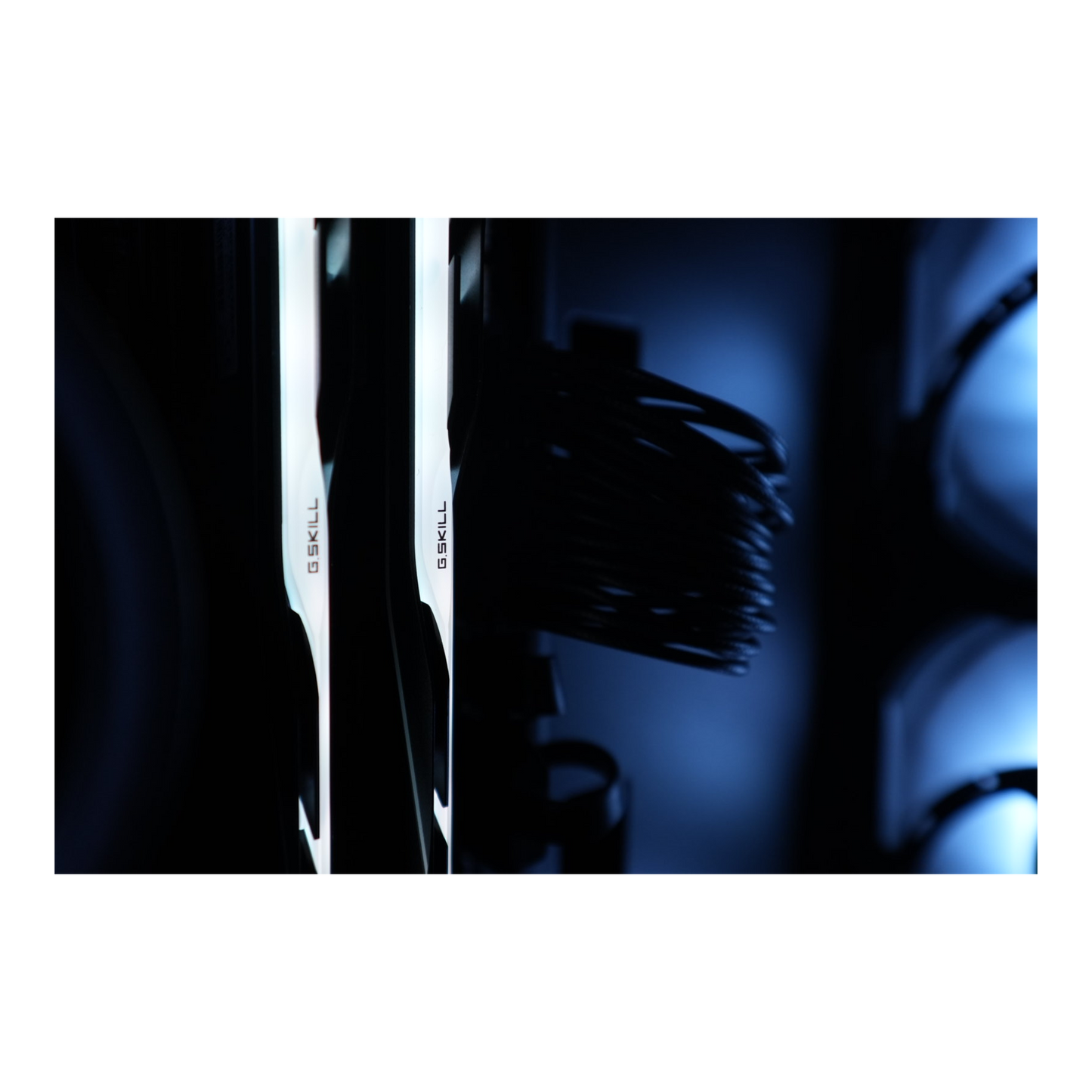 Exile